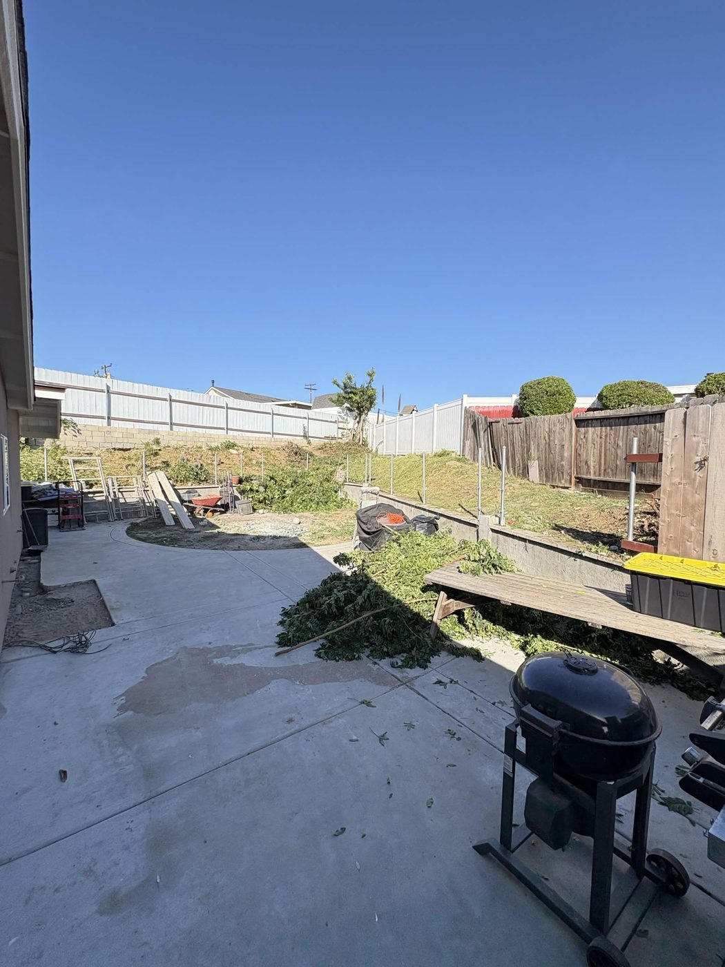 Before: Backyard Patio Cleanout