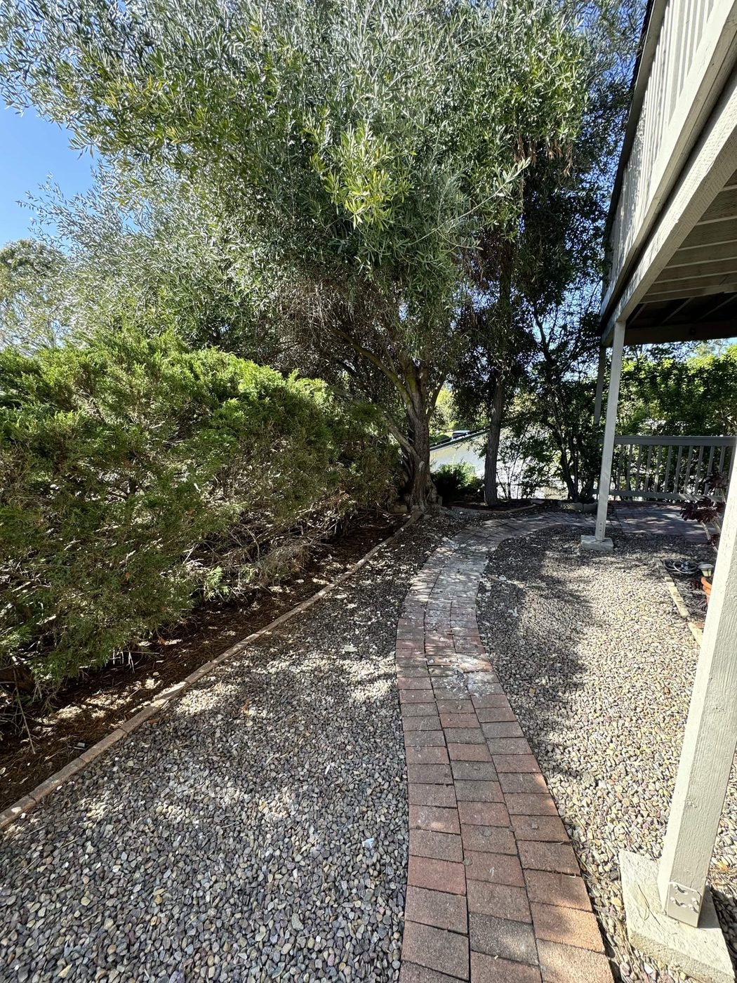 After: Side Yard Construction Debris